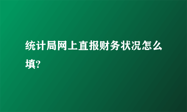 统计局网上直报财务状况怎么填?