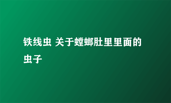 铁线虫 关于螳螂肚里里面的虫子