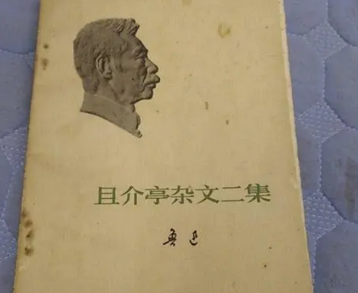 《且介亭杂文》名字由来是什么？