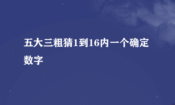 五大三粗猜1到16内一个确定数字