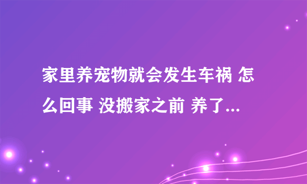 家里养宠物就会发生车祸 怎么回事 没搬家之前 养了几次狗狗 几次鸭子 几次兔子 每次养不到一周爸爸