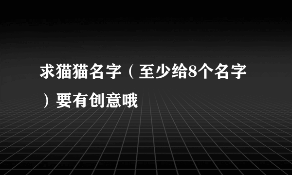 求猫猫名字（至少给8个名字）要有创意哦