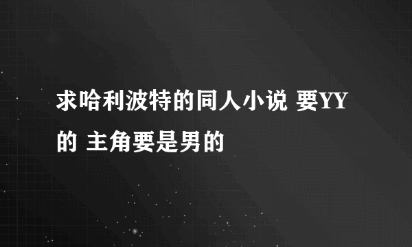 求哈利波特的同人小说 要YY的 主角要是男的