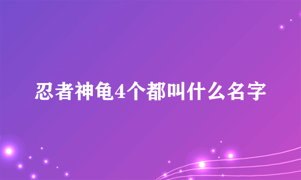 忍者神龟4个都叫什么名字