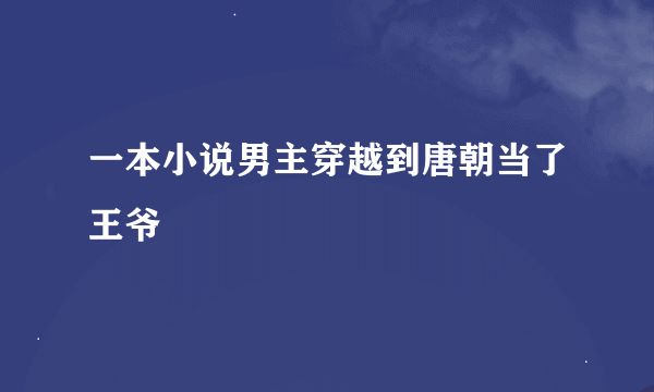 一本小说男主穿越到唐朝当了王爷