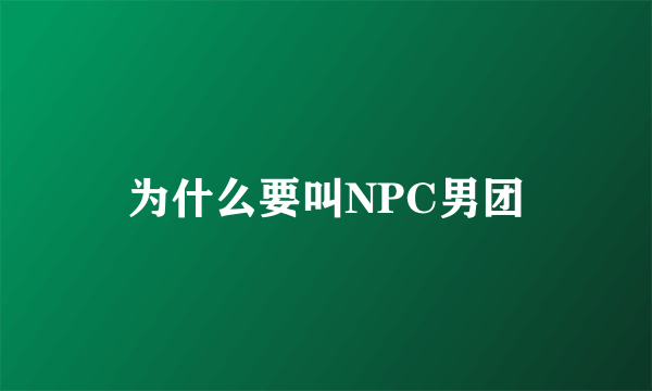 为什么要叫NPC男团