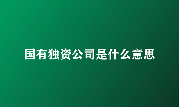 国有独资公司是什么意思