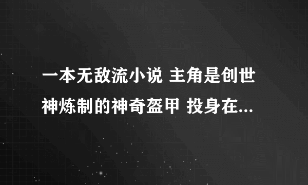 一本无敌流小说 主角是创世神炼制的神奇盔甲 投身在异世大陆一个家族 在家排行十八