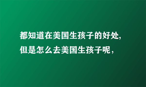 都知道在美国生孩子的好处,但是怎么去美国生孩子呢，