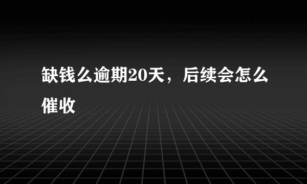 缺钱么逾期20天，后续会怎么催收