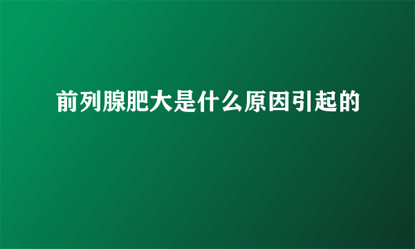 前列腺肥大是什么原因引起的