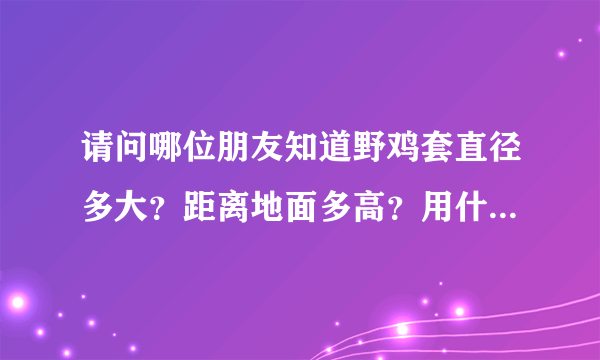 请问哪位朋友知道野鸡套直径多大？距离地面多高？用什么线比较好？怎么下？