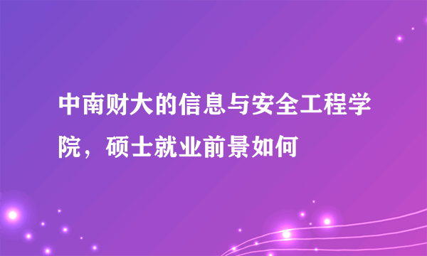 中南财大的信息与安全工程学院，硕士就业前景如何