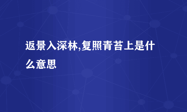 返景入深林,复照青苔上是什么意思