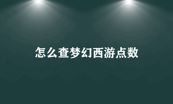 怎么查梦幻西游点数