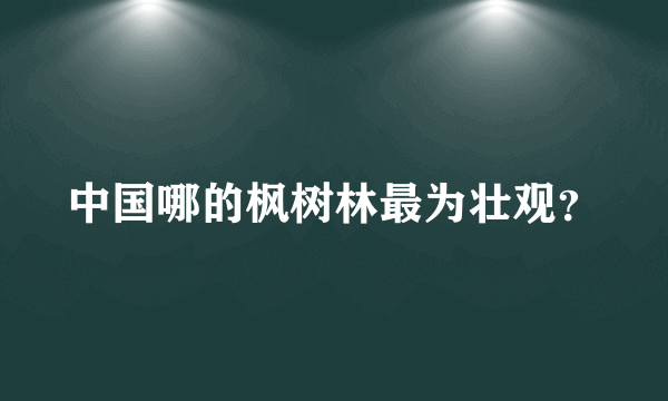 中国哪的枫树林最为壮观？