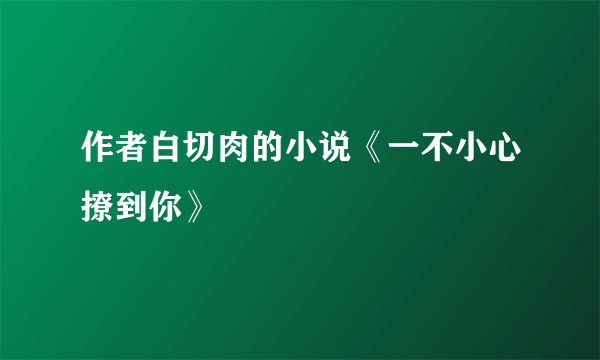 作者白切肉的小说《一不小心撩到你》