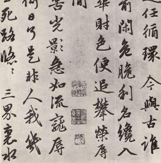 著我瑶林琼树里,何须初雪画江干什么意思