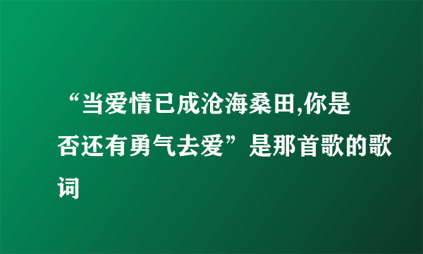 “当爱情已成沧海桑田,你是否还有勇气去爱”是那首歌的歌词