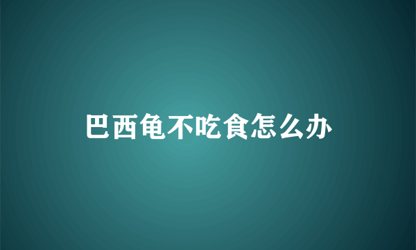 巴西龟不吃食怎么办