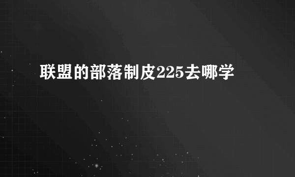 联盟的部落制皮225去哪学