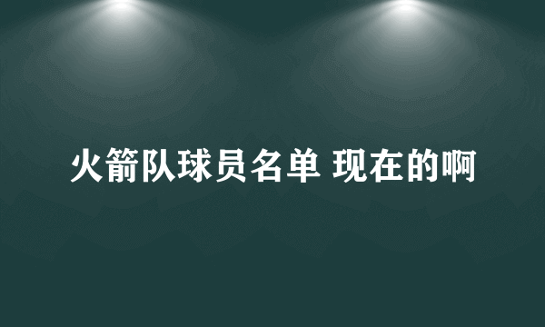 火箭队球员名单 现在的啊