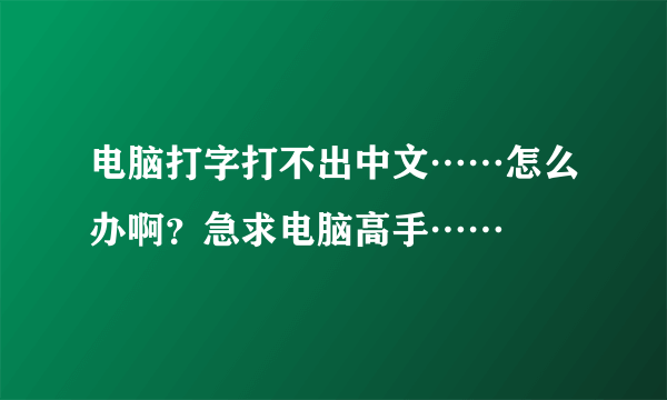 电脑打字打不出中文……怎么办啊？急求电脑高手……