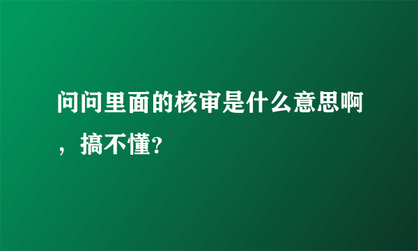 问问里面的核审是什么意思啊，搞不懂？