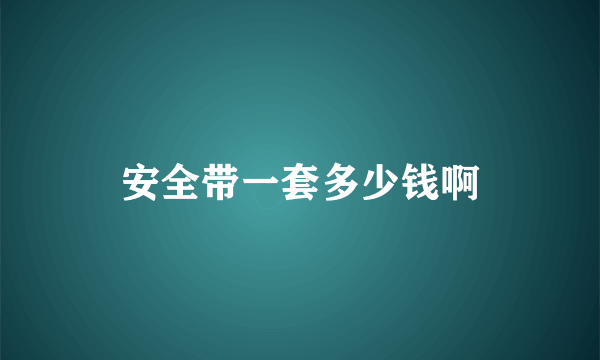 安全带一套多少钱啊