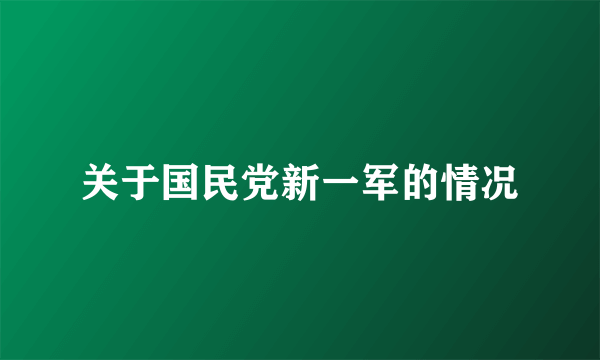 关于国民党新一军的情况