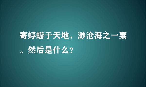 寄蜉蝣于天地，渺沧海之一粟。然后是什么？