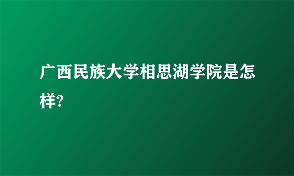 广西民族大学相思湖学院是怎样?