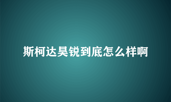 斯柯达昊锐到底怎么样啊