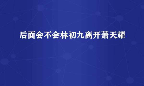 后面会不会林初九离开萧天耀