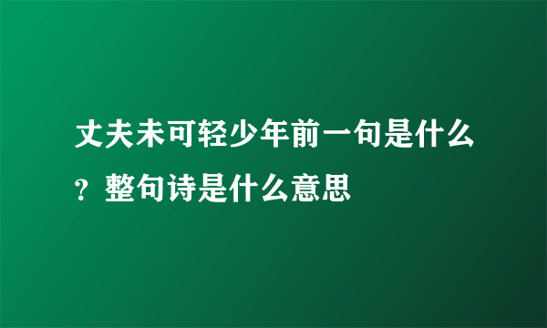 丈夫未可轻少年前一句是什么？整句诗是什么意思