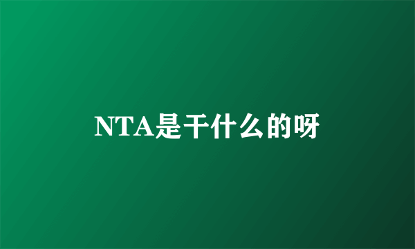 NTA是干什么的呀