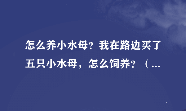 怎么养小水母？我在路边买了五只小水母，怎么饲养？（有图）禁止无意义灌水