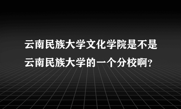 云南民族大学文化学院是不是云南民族大学的一个分校啊？