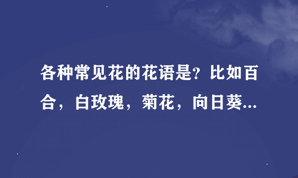 各种常见花的花语是？比如百合，白玫瑰，菊花，向日葵，薰衣草等等