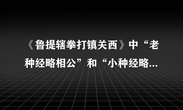 《鲁提辖拳打镇关西》中“老种经略相公”和“小种经略相公”,是唐宋边防军事长官,相当于