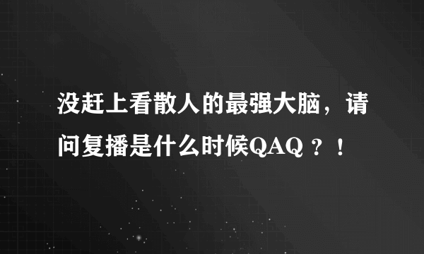 没赶上看散人的最强大脑，请问复播是什么时候QAQ ？！