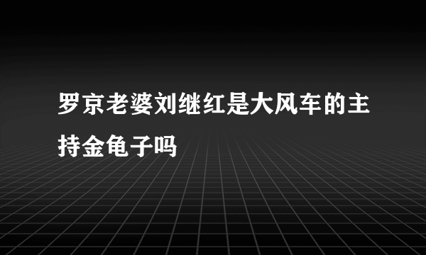 罗京老婆刘继红是大风车的主持金龟子吗