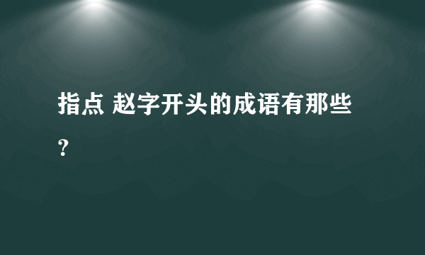 指点 赵字开头的成语有那些？