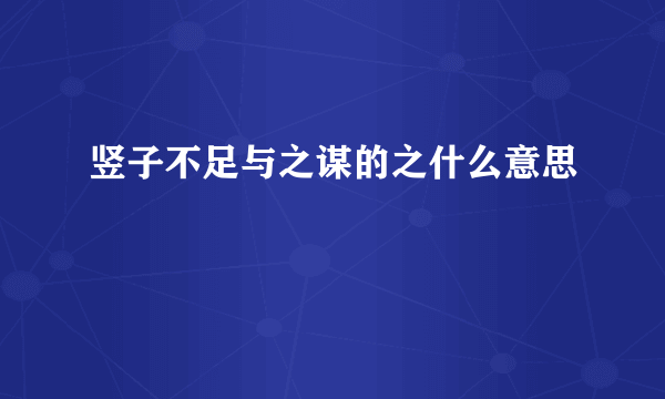 竖子不足与之谋的之什么意思