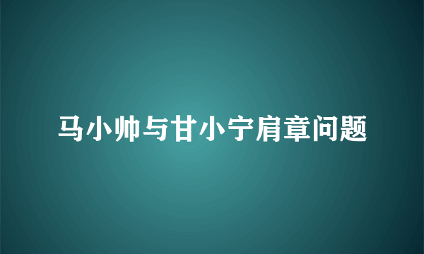 马小帅与甘小宁肩章问题