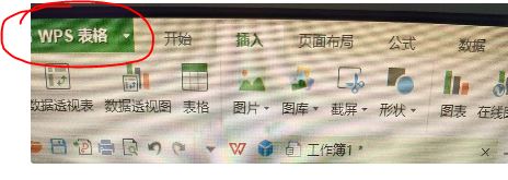 Excel 2016版的迷你折线图到底在哪！！！！我快傻了，找了一晚，下载WPS又卸载重下，我都怀疑下载错版本