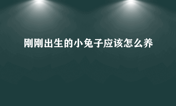 刚刚出生的小兔子应该怎么养