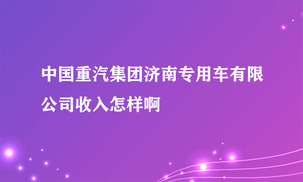 中国重汽集团济南专用车有限公司收入怎样啊