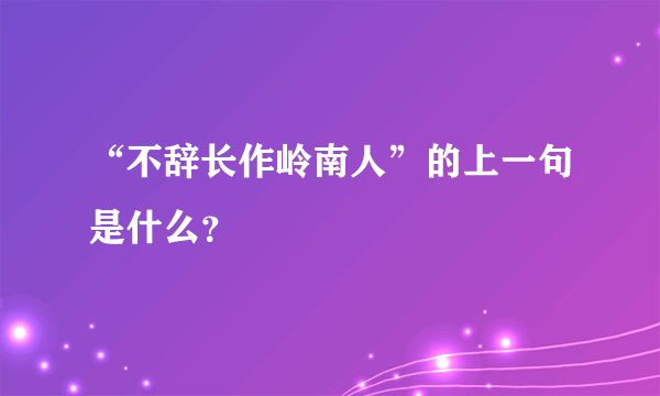 “不辞长作岭南人”的上一句是什么？