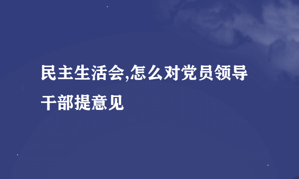 民主生活会,怎么对党员领导干部提意见